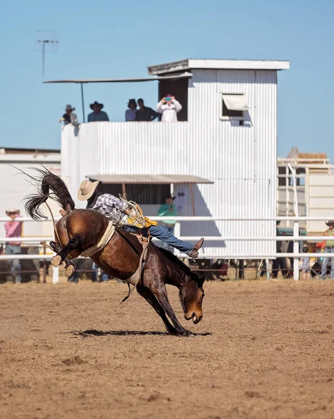 Vaquero Montando Caballo Bronco Concurso Rodeo Australia — Foto de Stock