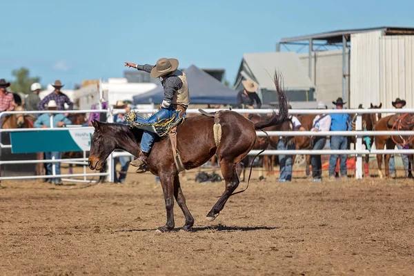 Cowboy Ridning Bucking Bronc Häst Rodeo Tävling Australien — Stockfoto