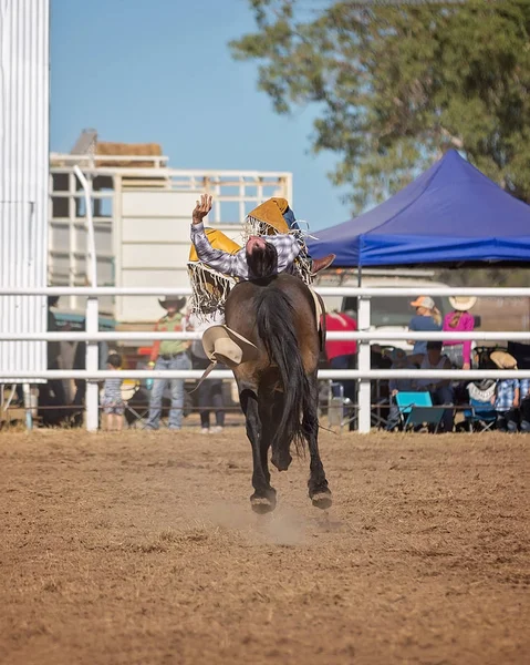 牛仔骑着野马马在澳大利亚的牛仔竞技比赛中 — 图库照片