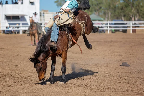 Cowboy Chevauchant Cheval Bronc Bucking Dans Une Compétition Rodéo Australie — Photo