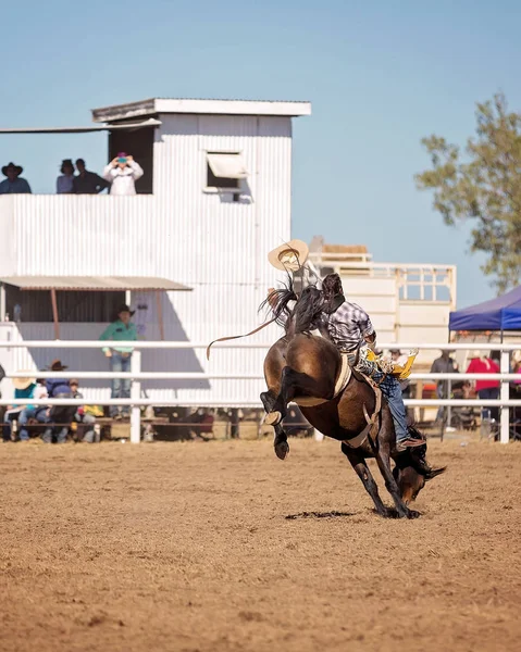 Cowboy Chevauchant Cheval Bronc Bucking Dans Une Compétition Rodéo Australie — Photo