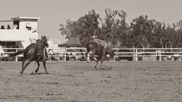 Καουμπόη Ιππασία Bucking Bronc Διαγωνισμό Ροντέο Στην Αυστραλία — Φωτογραφία Αρχείου