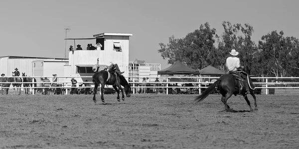 Vaquero Montando Caballo Bronco Concurso Rodeo Australia —  Fotos de Stock