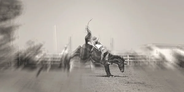 オーストラリアでのロデオ大会で座屈稚児馬に乗ってカウボーイ — ストック写真
