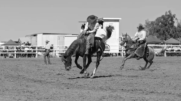 オーストラリアでのロデオ大会で座屈稚児馬に乗ってカウボーイ — ストック写真