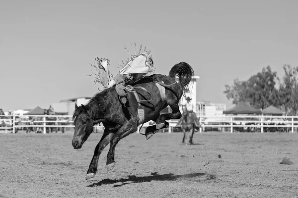 Cowboy Bakugrás Bronc Lovaglás Egy Rodeó Versenyt Ausztrália — Stock Fotó