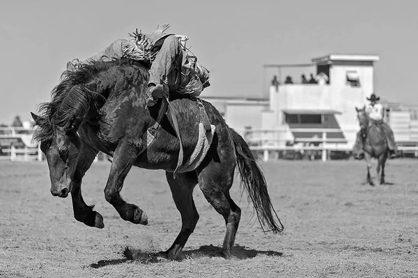 Vaquero Montando Caballo Bronco Concurso Rodeo Australia —  Fotos de Stock