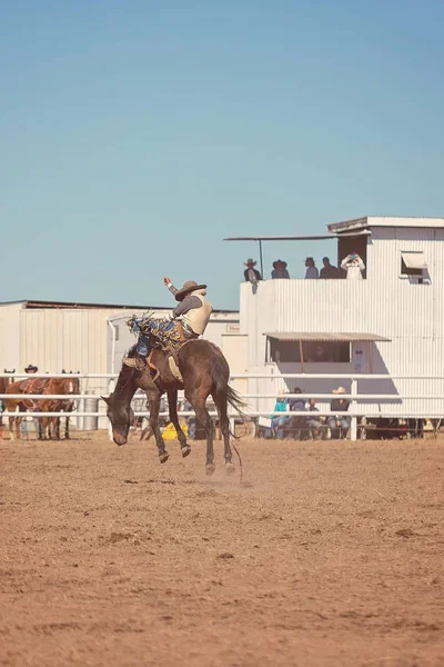 Vaquero Montando Caballo Bronco Concurso Rodeo Australia —  Fotos de Stock