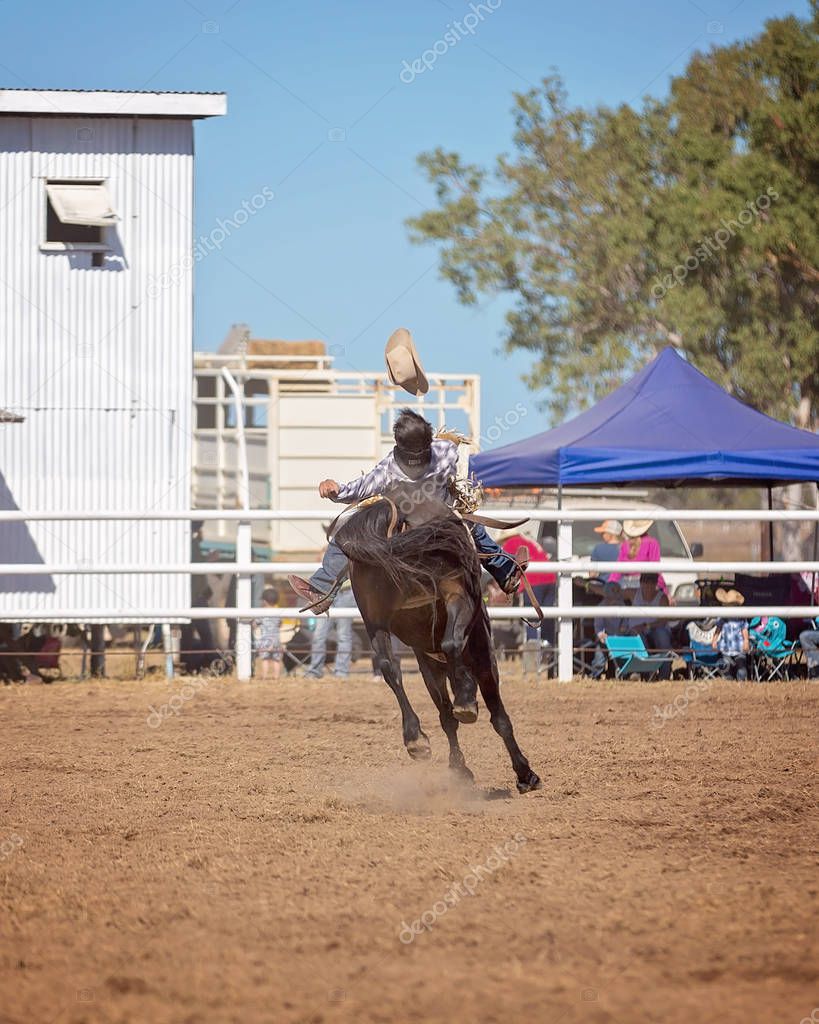 Cowboy riding a bucking bronc horse in a rodeo competition in Australia