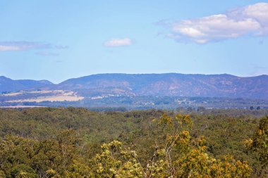 Orman dağların Avustralya manzara ferahlık içinde buluştuğu yer