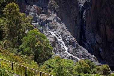 Atherton tablelands Avustralya'da Barron düşüyor