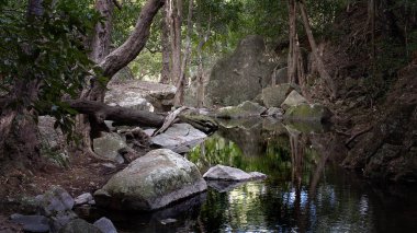 Berrak dere Paluma aralığı Milli Parkı'nda Queensland Avustralya Jourama Falls yakınındaki