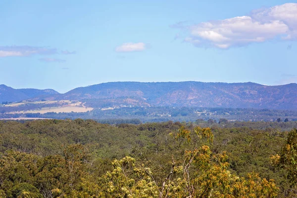 Waar Het Bos Samenkomt Met Bergen Ruimte Van Het Australische — Stockfoto