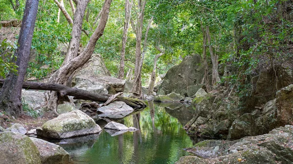 Кристально Чистим Крик Paluma Діапазоні Національного Парку Поблизу Jourama Водоспади — стокове фото
