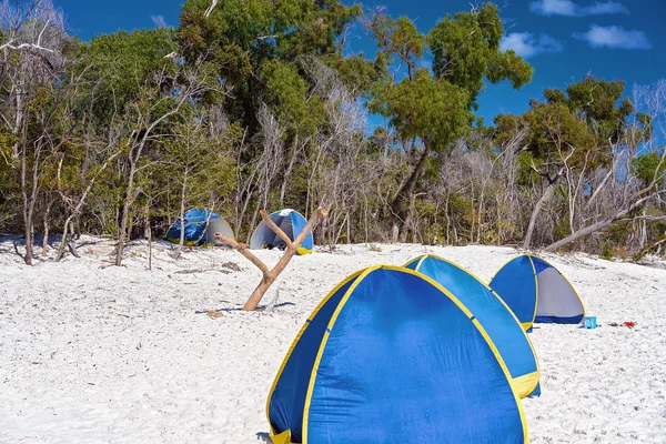 Modré Turistické Stany Odstín Bílého Křemičitého Písku Whitehaven Beach Whitsunday — Stock fotografie