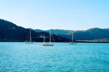 Airlie Beach Whitsundays Avustralya'da Yatlar demirli