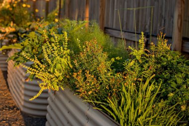 Kaldırdı ot Bahçe bir ev arka bahçesinde