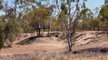 Rustik safir mücevher alanlarındaki bir köprü ile bağlı bir ağaç yapısında