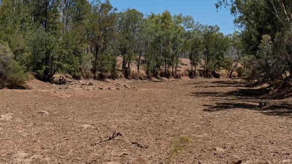 Torka Bäcken Sängen Outback Australien Drabbats Torkan — Stockfoto