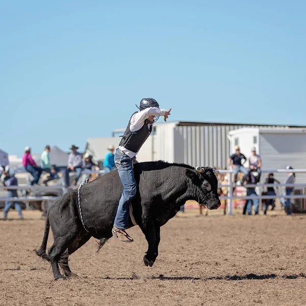 Cow Boy Participant Compétition Équitation Taureaux Lors Rodéo Champêtre — Photo