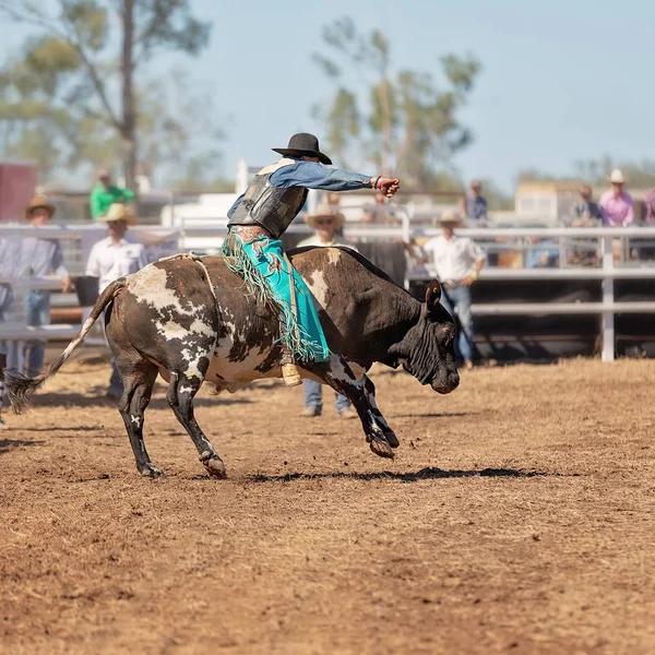 A cowboy competing in the bull riding competition at a country rodeo