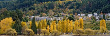 Queenstown Yeni Zelanda Gölü kıyısında sarı kavak sonbahar yaprakları