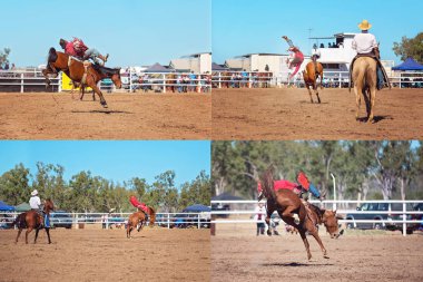 Eyersiz bronc kolaj bir ülke Rodeo çılgınca bucking kovboylar atlar
