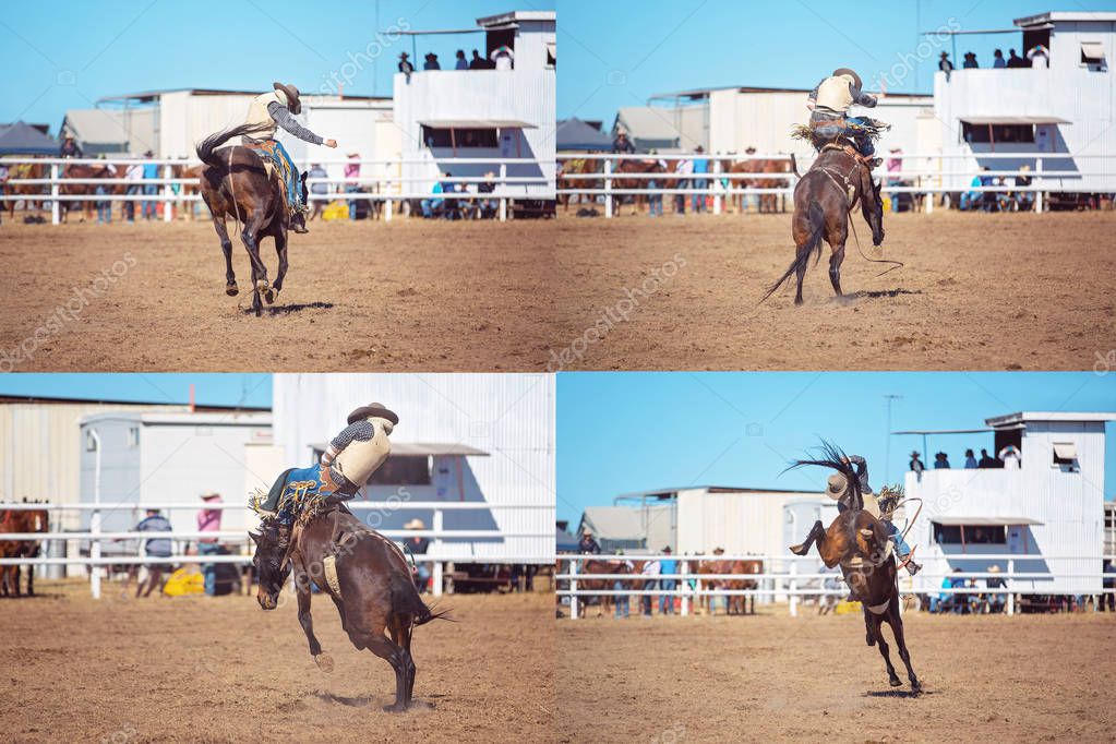 Collage of bareback bronc horses wildly bucking cowboys at a country rodeo