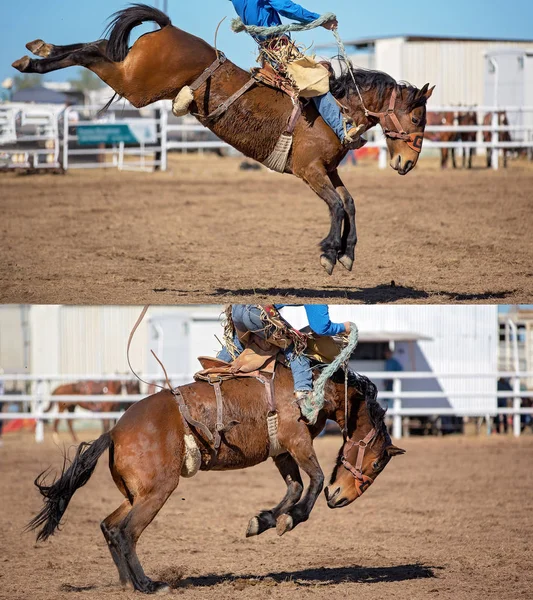 Collage Cow Boy Cheval Participant Événement Bronchique Selle Lors Rodéo — Photo