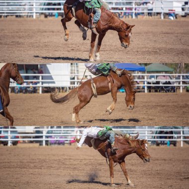 Collage of a cowboy riding a bucking bronco in the bareback bronc event at a country rodeo clipart