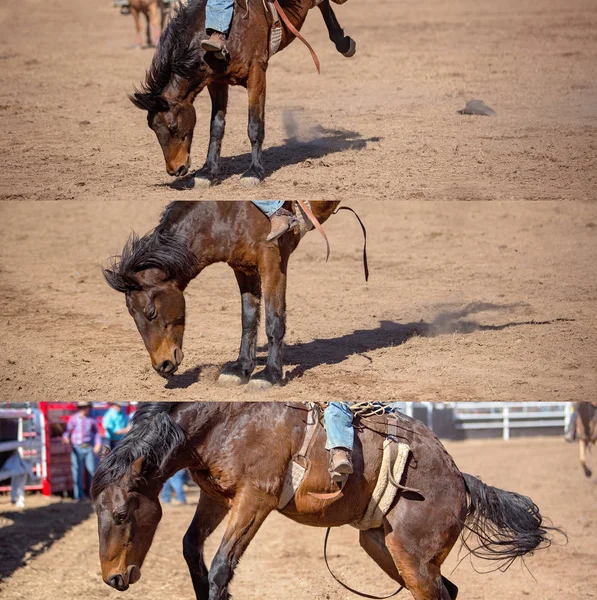 Κολάζ Από Cowboy Ιππασίας Ένα Bucking Bronco Στο Συμβάν Χωρίς — Φωτογραφία Αρχείου