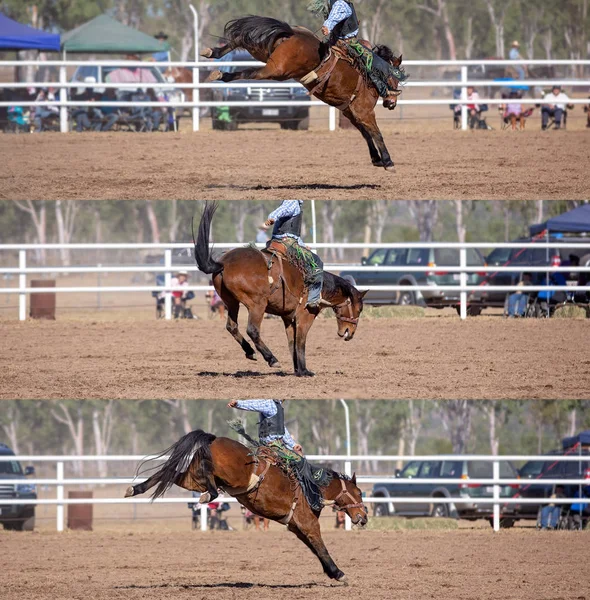 Collage of a cowboy riding a bucking horse in the saddle bronc event at a country rodeo