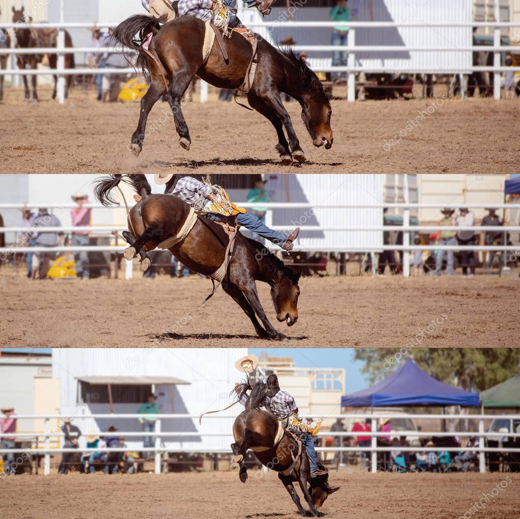 Collage of a cowboy riding a bucking bronco in the bareback bronc event at a country rodeo
