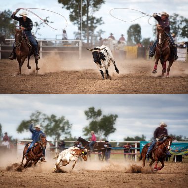Collage of calves being lassoed in team calf roping events by cowboys at a country rodeo clipart
