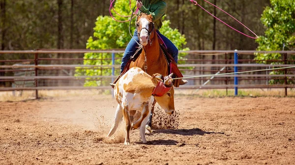 Cowboy Rider Häst Som Försöker Lasso Rinnande Kalv Lagtävlingen Ett — Stockfoto