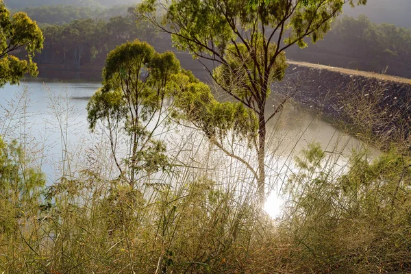 Vroege Ochtend Licht Schijnt Door Bomen Het Water Van Een — Stockfoto