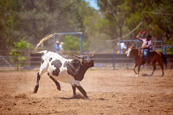 Przestraszony Łydki Walczy Liny Kraju Okrutne Zdarzenie Rodeo — Zdjęcie stockowe