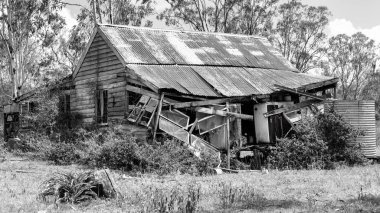 Çimlerin arasında shack aşağı yuvarlanan bir eski bir siyah beyaz görüntü