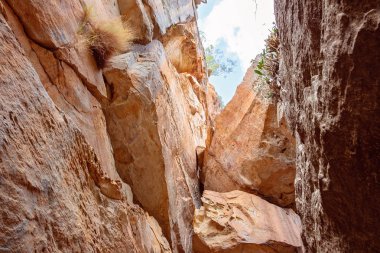 Kumtaşı yarıklar kayalıklardan Cania Gorge Queensland Avustralya