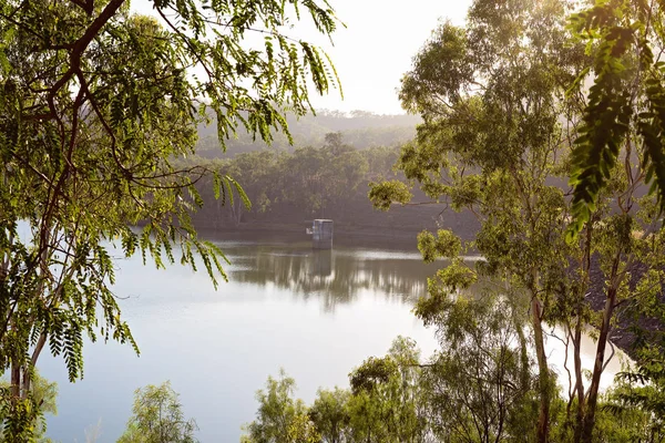 Soluppgången Genom Lövverket Cania Dam Queensland Australien — Stockfoto