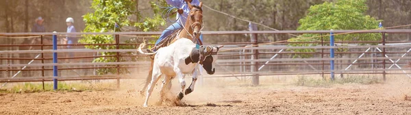 Paardrijden Cowboy Lassoing Een Lopende Kalf Een Rodeo Moulinette Concurrentie — Stockfoto