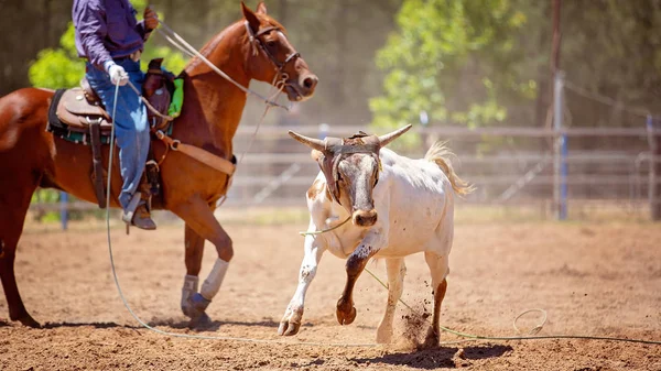 小牛在尘土飞扬的乡村竞技表演中被牛仔骑在马背上 — 图库照片