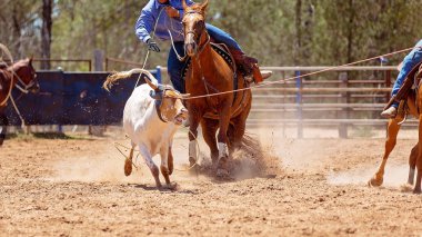 Ülke rodeoda Kementleme takım buzağı