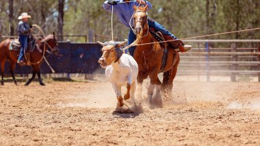Ülke rodeoda Kementleme takım buzağı