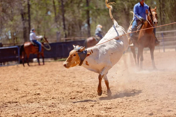 Lassoing van een kalf - Team kalf moulinette concurrentie op land Rodeo — Stockfoto