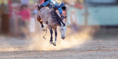 Bucking Binicilik Rodeo Yarışması