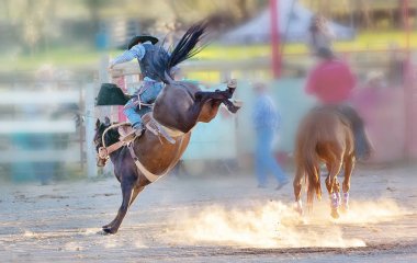 Bucking Binicilik Rodeo Yarışması