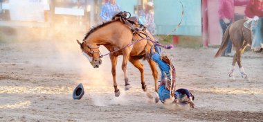 Bucking Binicilik Rodeo Yarışması