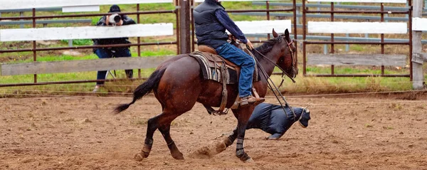 Treinamento de corte de cavalo na chuva — Fotografia de Stock