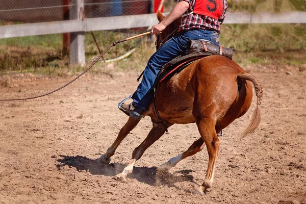 Whip cracking Rodeo Competition — ストック写真